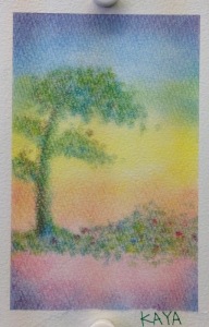 11311768_700897590016523_200139726_n