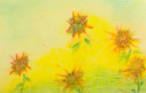 11910963_679743745490492_432457139_n