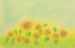 11920421_679743758823824_916996775_n