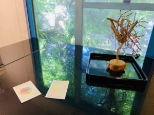 インストラクター研修会『味覚を描く』を開催しました