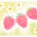 インストラクター研修会『イチゴ』を開催しました