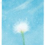 インストラクター研修会『綿毛』を開催しました