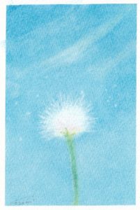 インストラクター研修会『綿毛』を開催しました